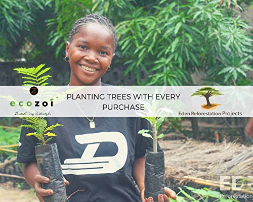 Ecozoi Stainless Steel Popsicle Molds and Rack